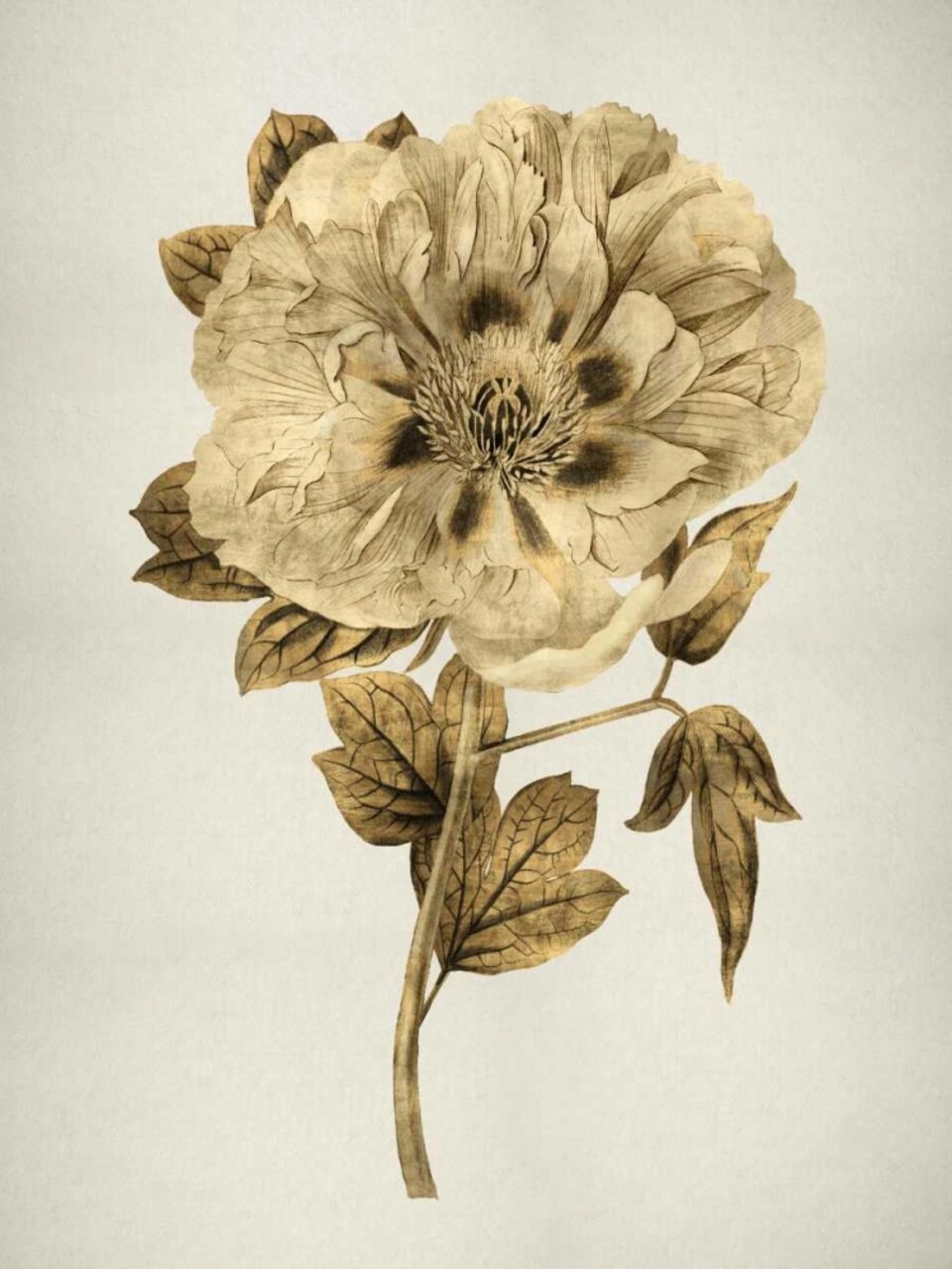 Gold Tulip I Poster Print by Kate Bennett # KTB111508DG